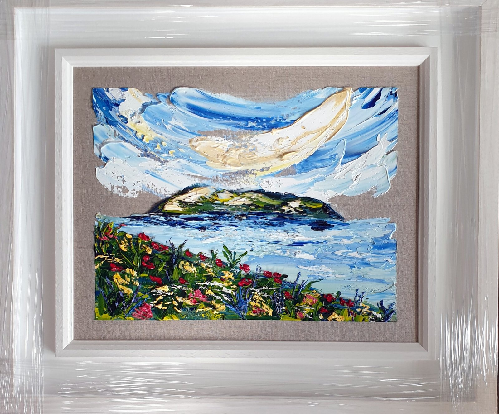 Wildflowers St Ita's Demense view to Lambay